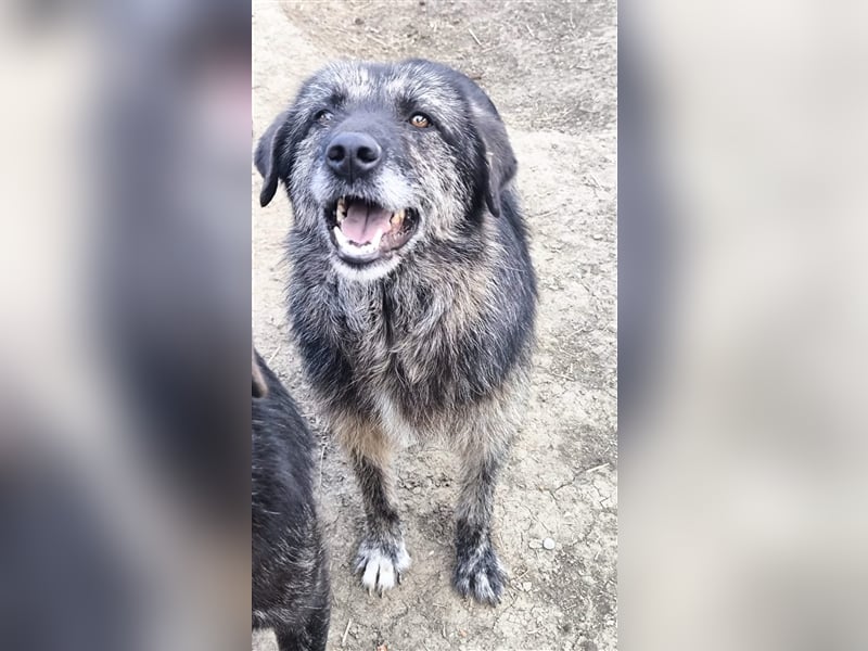 Sara - fröhlich und aufgeschlossen