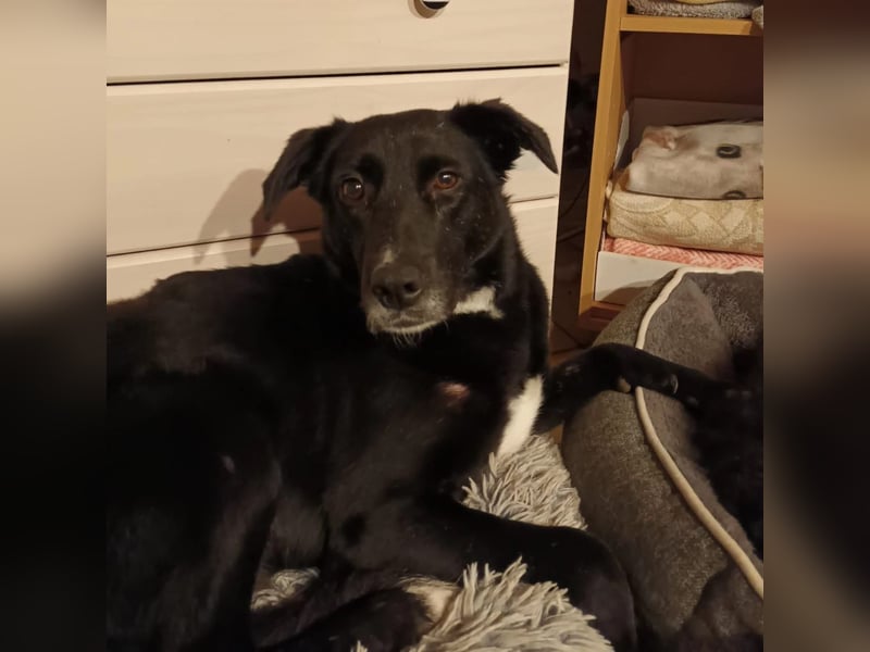 Tikva - liebt es ruhig