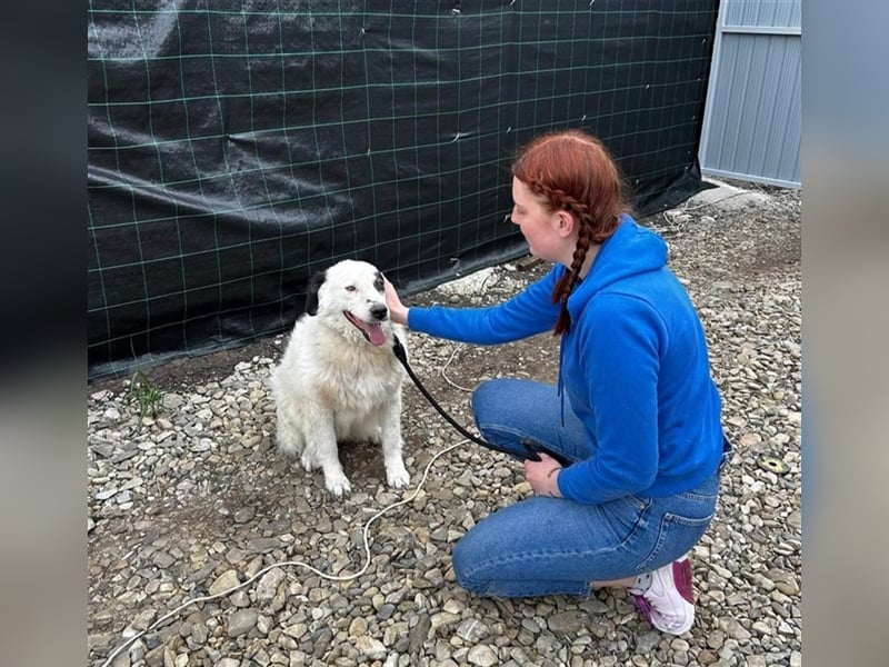 Bianca - sucht ihren Retter