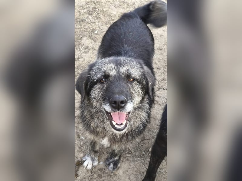 Sara - fröhlich und aufgeschlossen