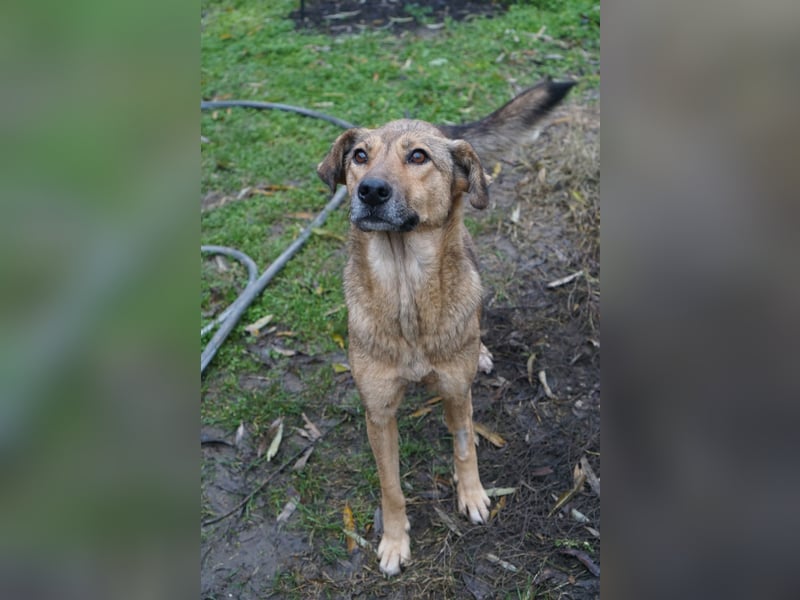 Jessy - sanft und freundlich