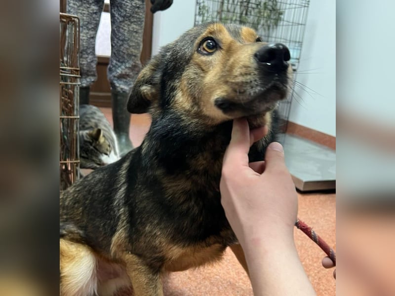 Jerry wartet schon unfassbar lange