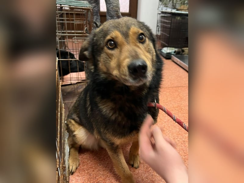 Jerry wartet schon unfassbar lange