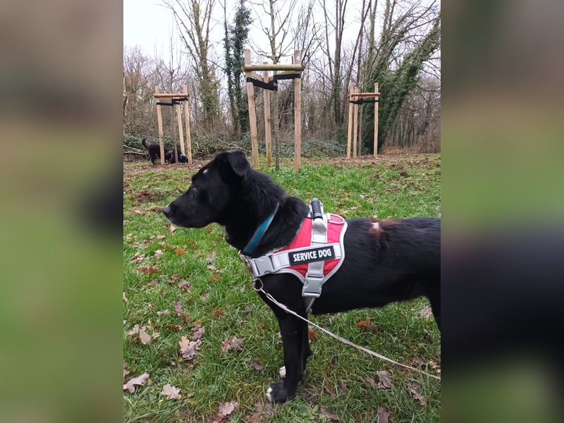 Tikva - liebt es ruhig