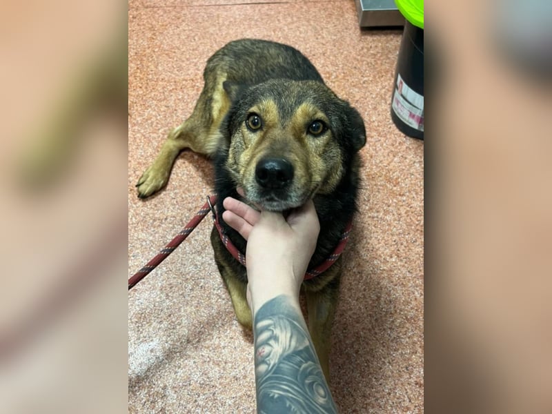 Jerry wartet schon unfassbar lange