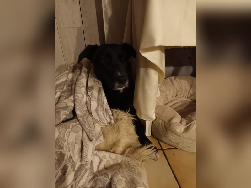 Tikva - liebt es ruhig