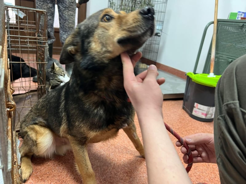 Jerry wartet schon unfassbar lange