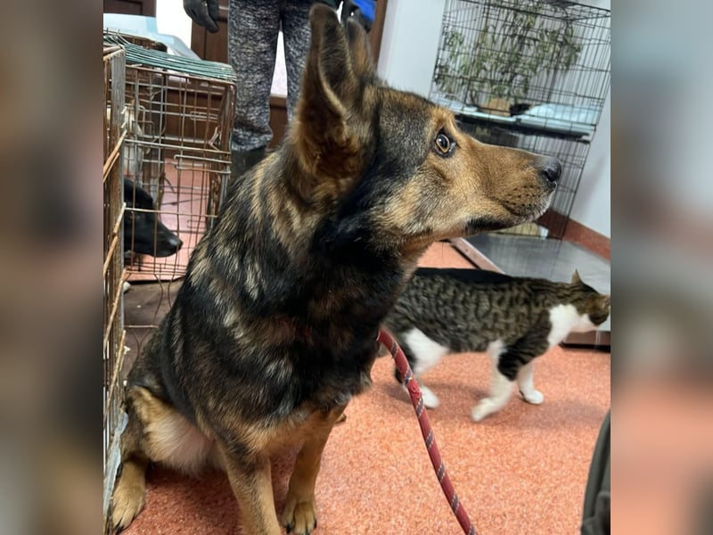 Jerry wartet schon unfassbar lange