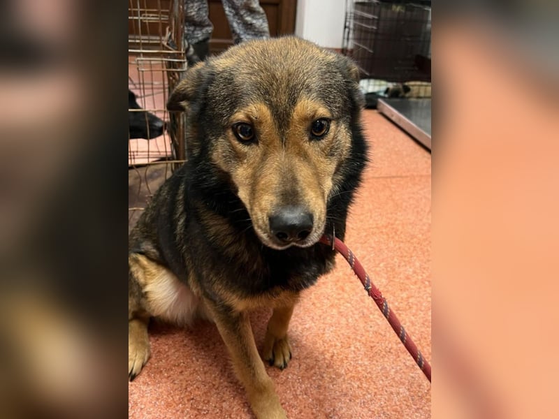 Jerry wartet schon unfassbar lange