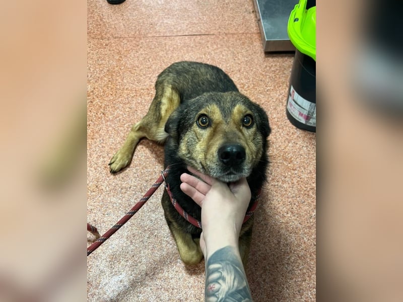 Jerry wartet schon unfassbar lange