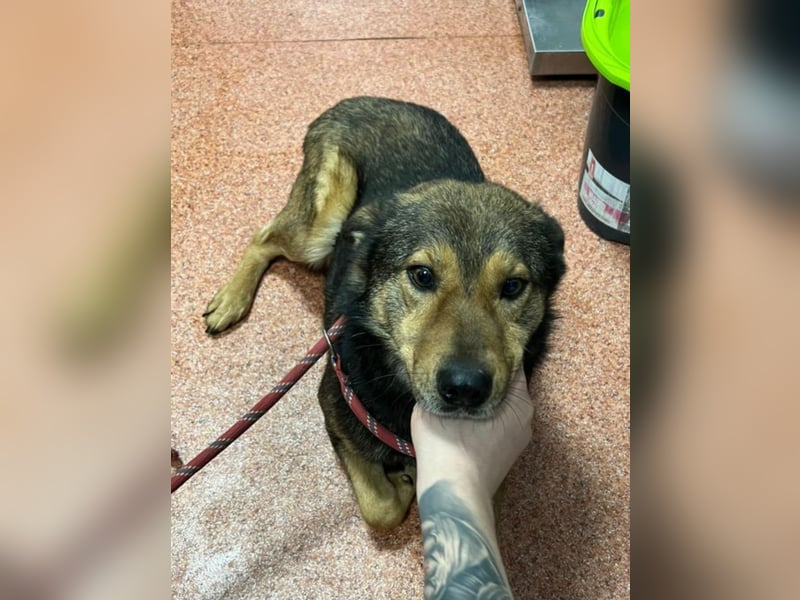 Jerry wartet schon unfassbar lange