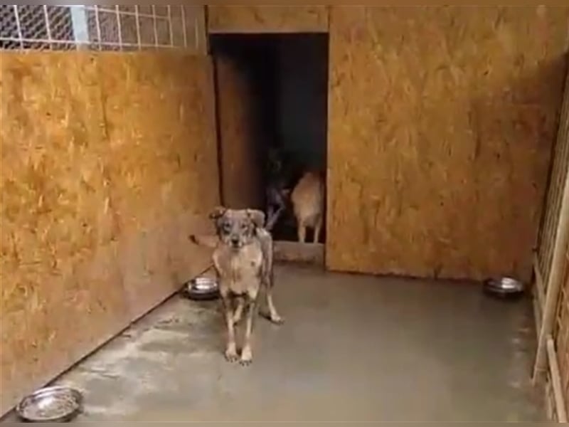 Tilda - braucht noch etwas Mut