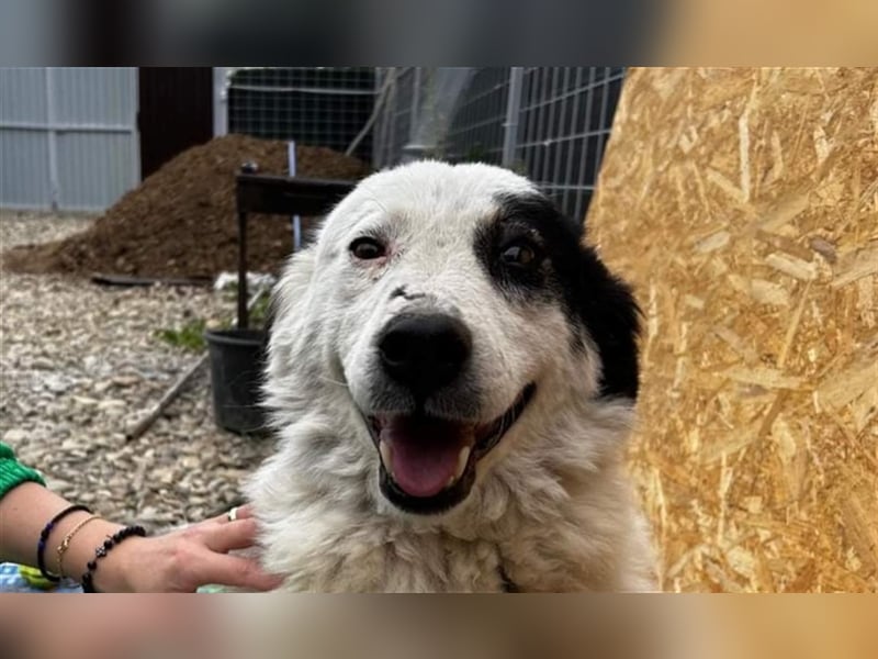 Bianca - sucht ihren Retter