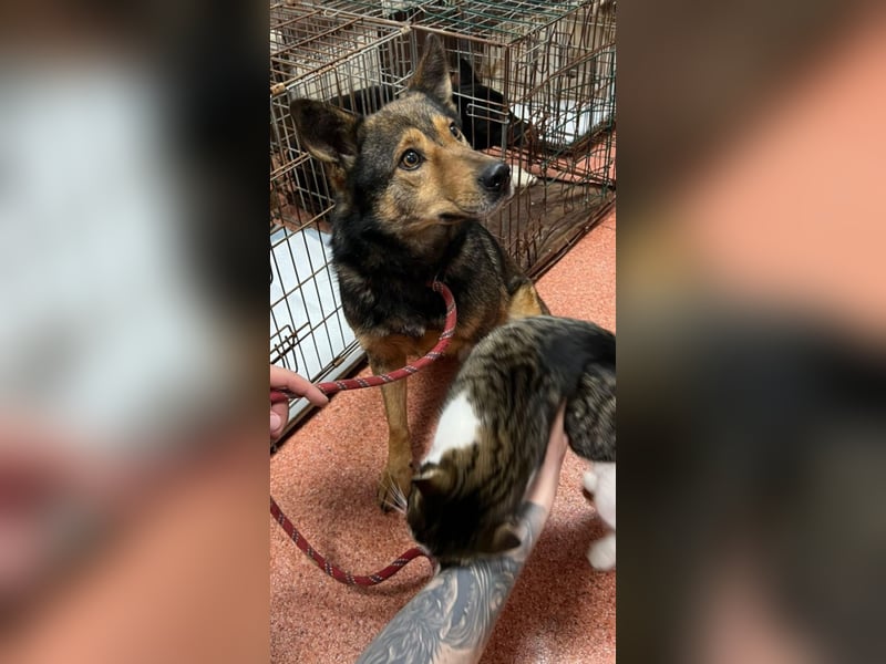 Jerry wartet schon unfassbar lange