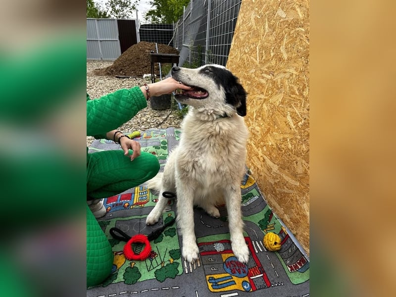 Bianca - sucht ihren Retter