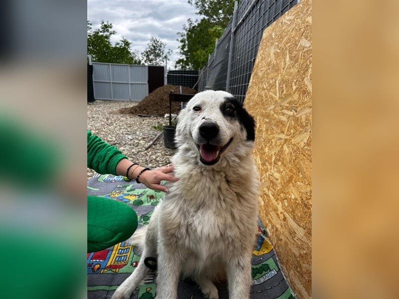 Bianca - sucht ihren Retter