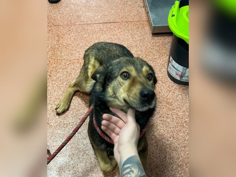 Jerry wartet schon unfassbar lange