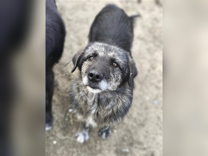 Sara - fröhlich und aufgeschlossen