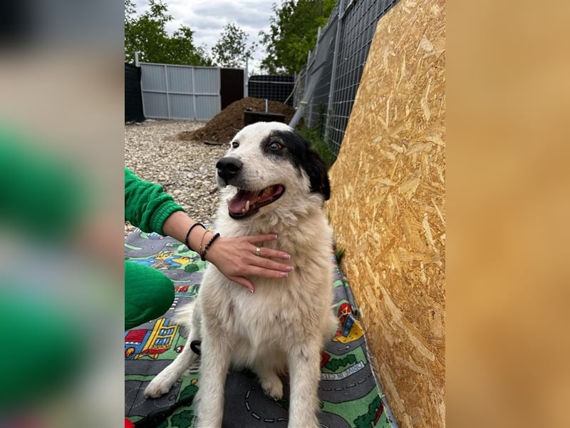 Bianca - sucht ihren Retter