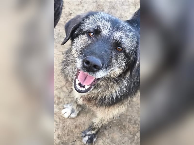 Sara - fröhlich und aufgeschlossen