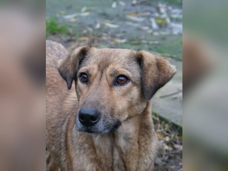 Jessy - sanft und freundlich