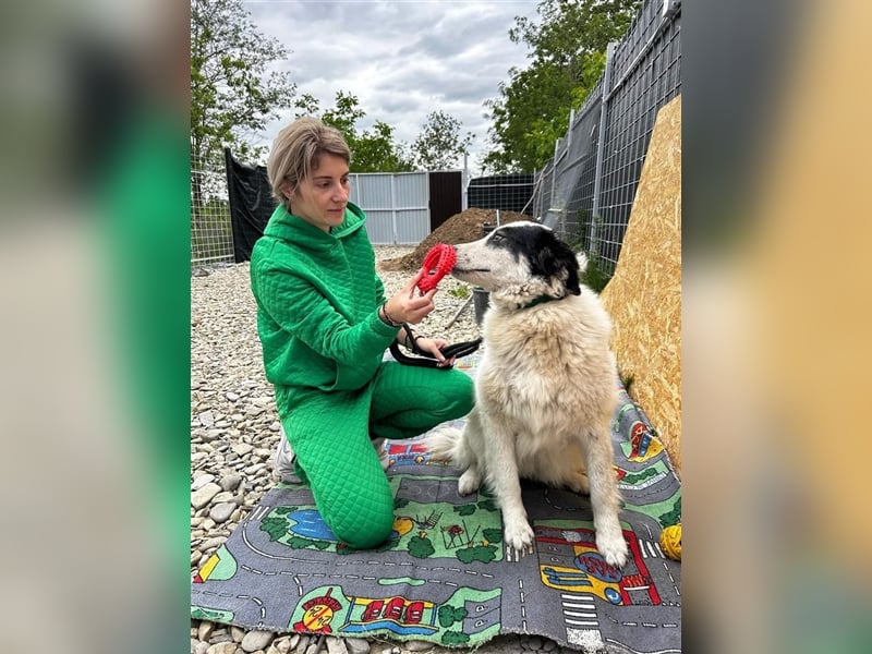 Bianca - sucht ihren Retter