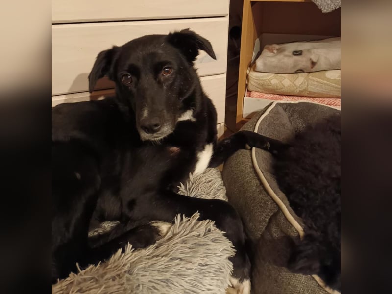 Tikva - liebt es ruhig