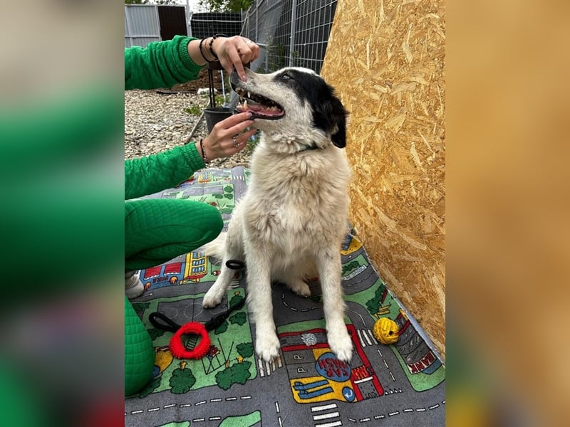 Bianca - sucht ihren Retter