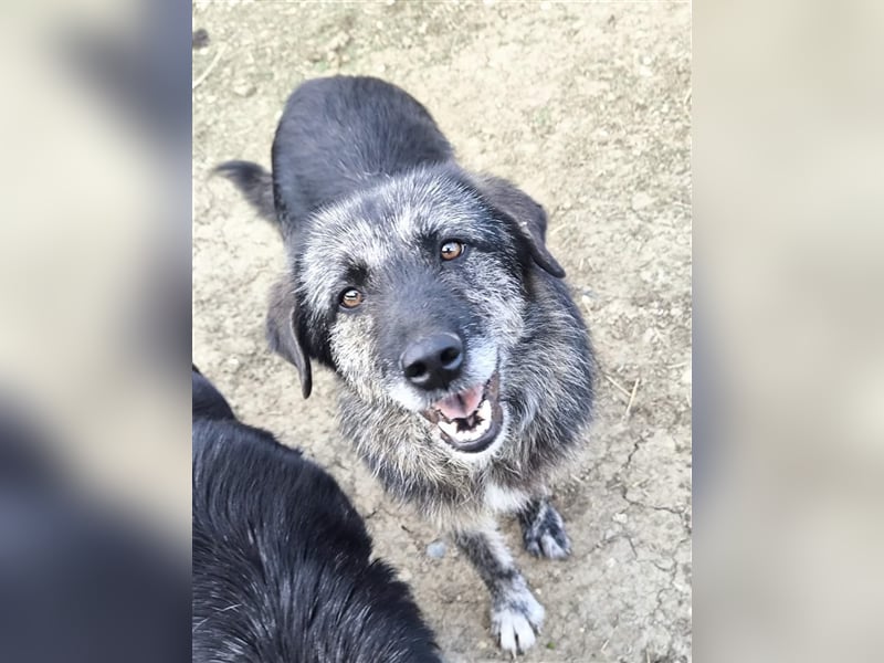 Sara - fröhlich und aufgeschlossen