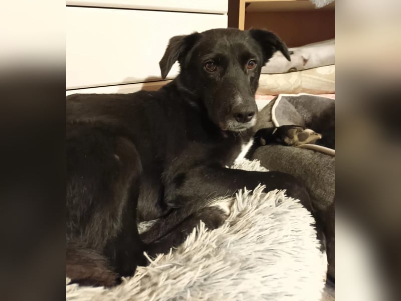 Tikva - liebt es ruhig