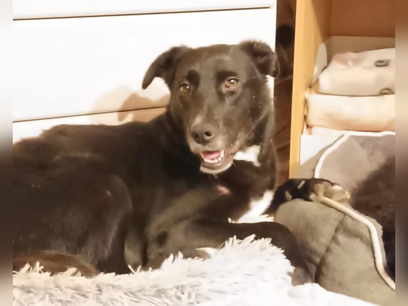 Tikva - liebt es ruhig