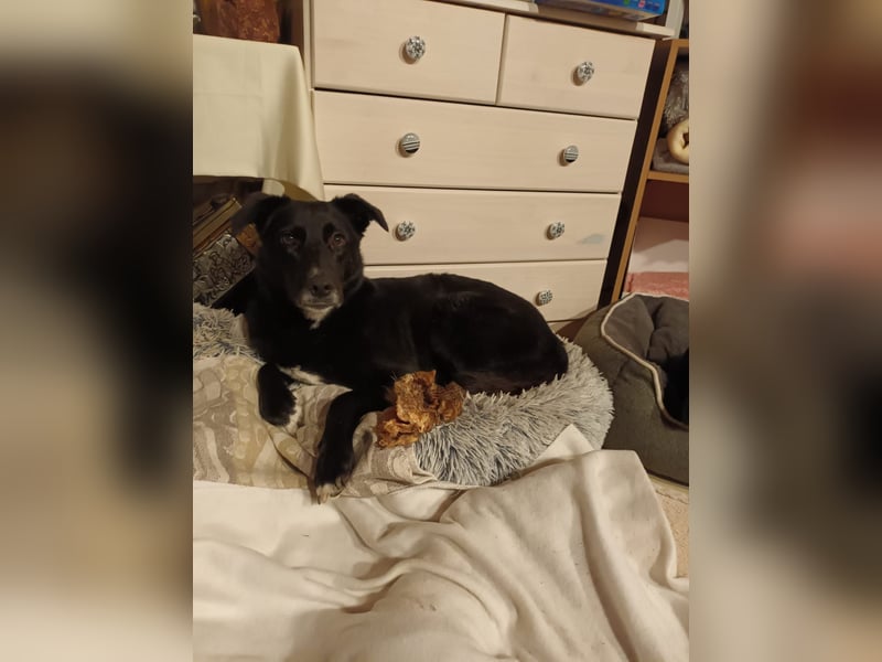 Tikva - liebt es ruhig