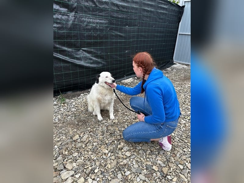 Bianca - sucht ihren Retter