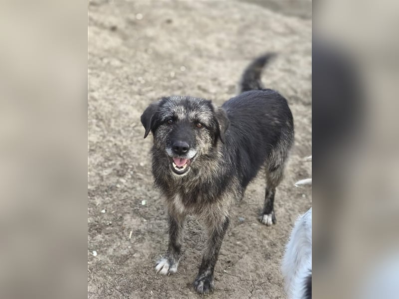 Sara - fröhlich und aufgeschlossen