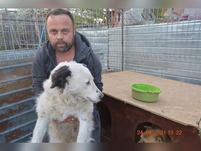 Bianca - sanfte Seele sucht ein liebevolles Zuhause