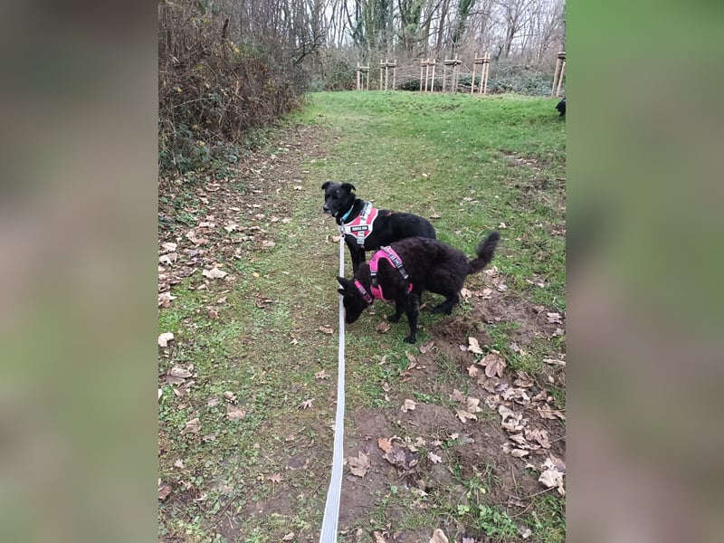 Tikva - liebt es ruhig