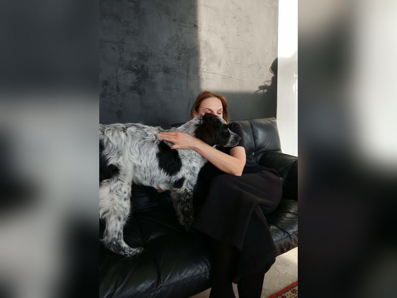 Lebensfroher Janko sucht sein Zuhause