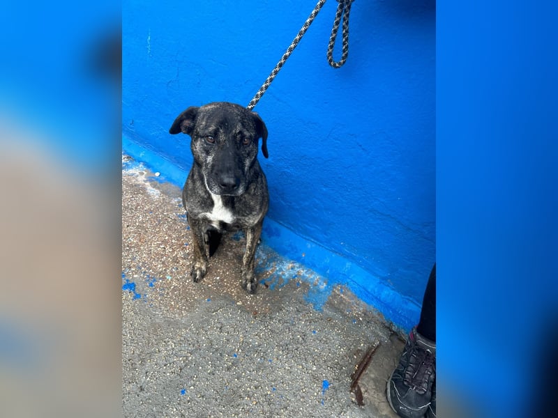 Chanel, wer schenkt ihr Liebe und Geduld?