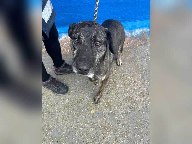 Chanel, wer schenkt ihr Liebe und Geduld?