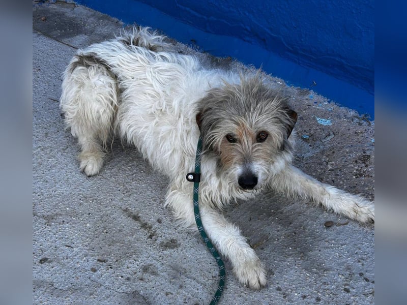 Peque, katzenfreundlich und gemütlich