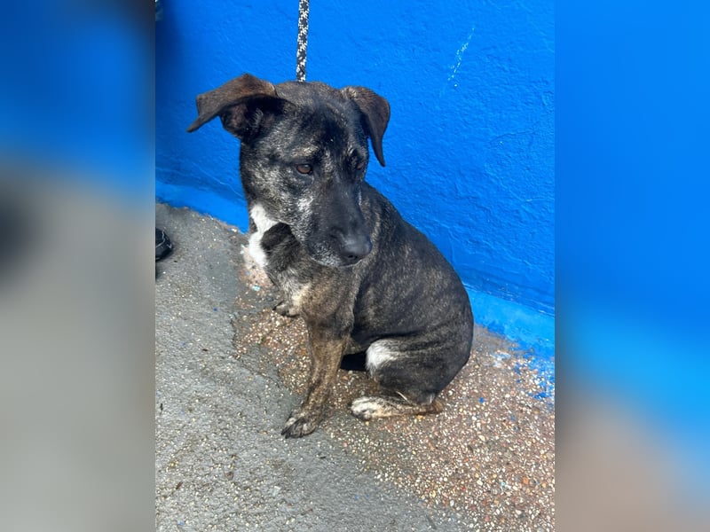 Chanel, wer schenkt ihr Liebe und Geduld?