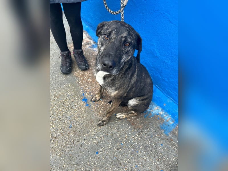 Chanel, wer schenkt ihr Liebe und Geduld?