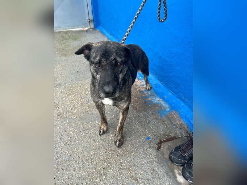 Chanel, wer schenkt ihr Liebe und Geduld?