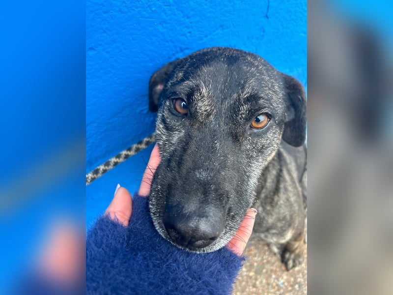 Chanel, wer schenkt ihr Liebe und Geduld?