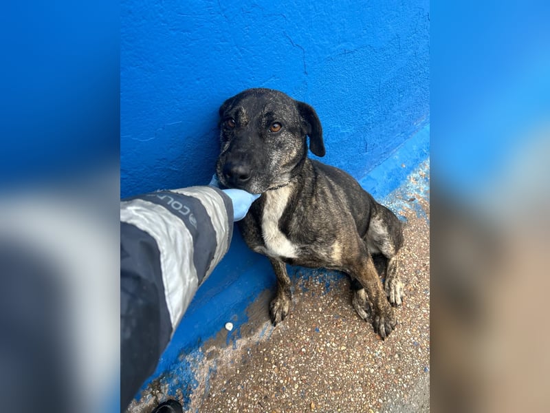 Chanel, wer schenkt ihr Liebe und Geduld?