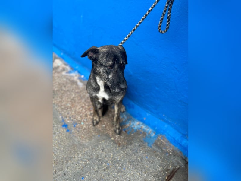 Chanel, wer schenkt ihr Liebe und Geduld?