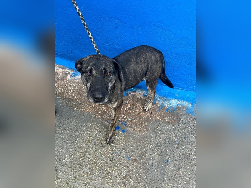 Chanel, wer schenkt ihr Liebe und Geduld?