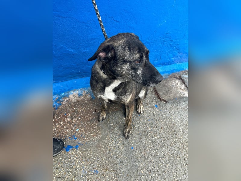 Chanel, wer schenkt ihr Liebe und Geduld?