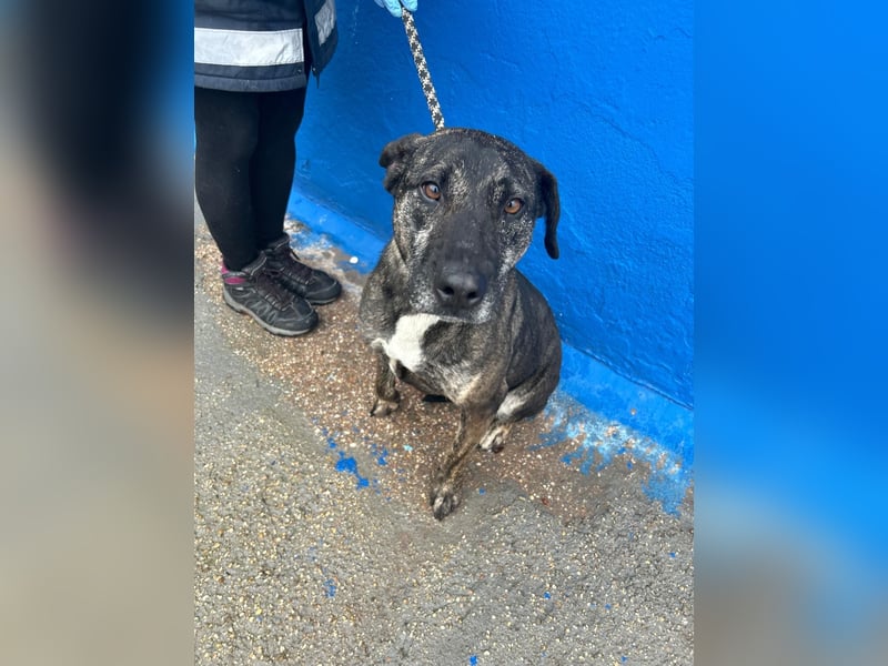 Chanel, wer schenkt ihr Liebe und Geduld?