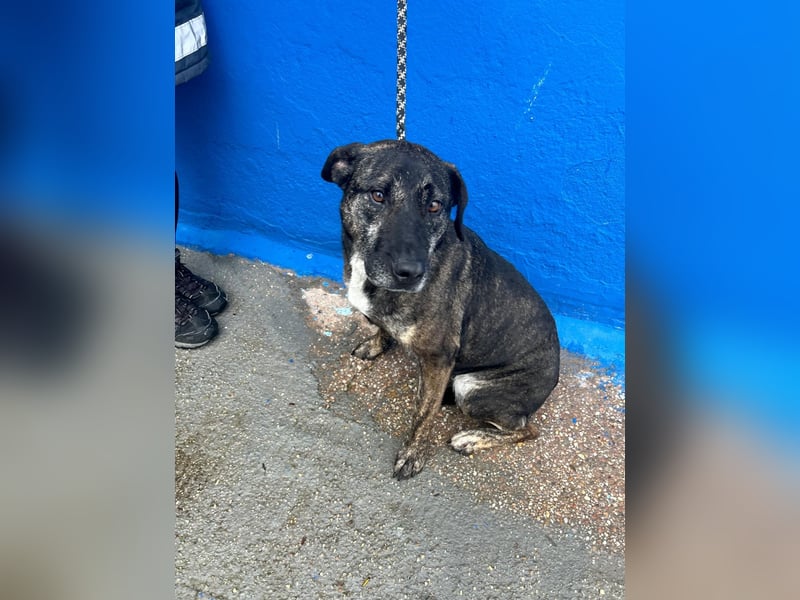 Chanel, wer schenkt ihr Liebe und Geduld?